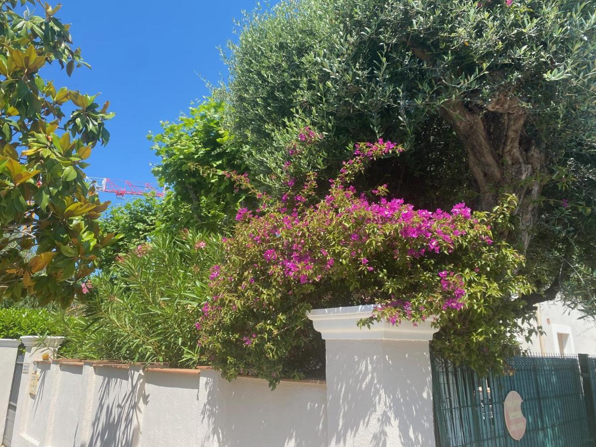 Arche De Portissol Sanary Appartement De Charme 4 A 6 Personnes المظهر الخارجي الصورة